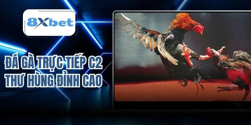 Đá gà trực tiếp C2