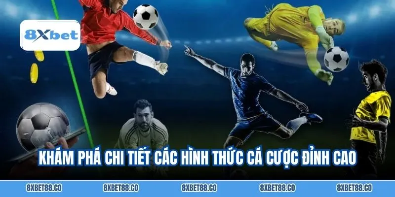 Khám phá chi tiết các hình thức cá cược đỉnh cao