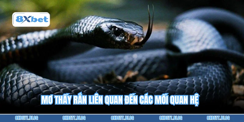 Mơ thấy rắn liên quan đến các mối quan hệ